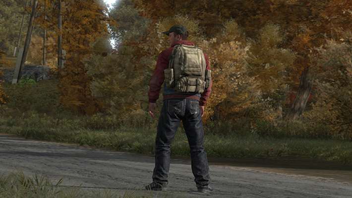 DayZ