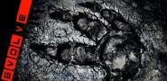 Evolve 50.000 clés pour la BIG Alpha